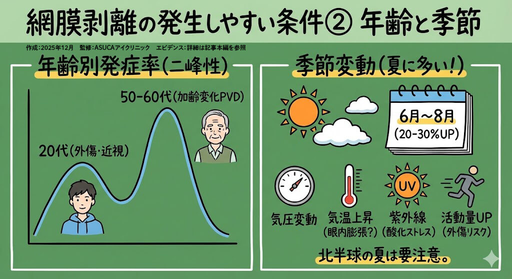 網膜剥離の発生しやすい条件：年齢と季節
