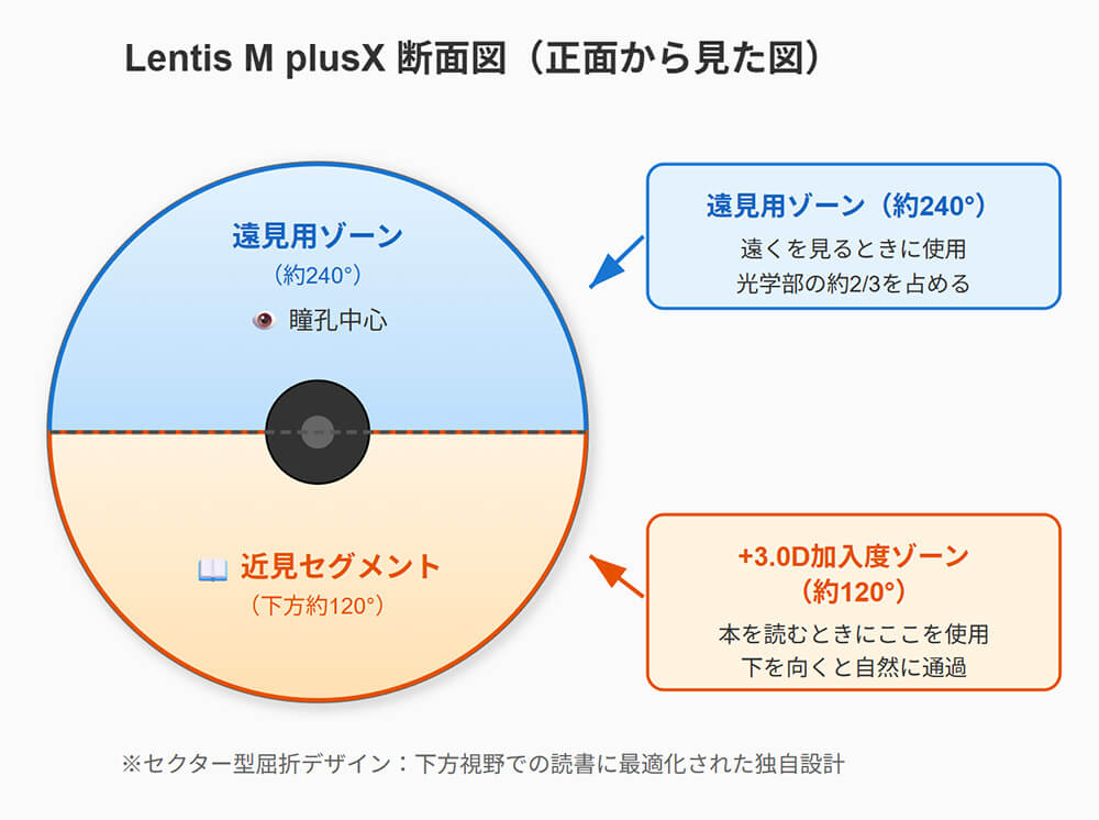 Lentis M plusX断面図(正面から見た図)